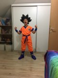 Dragon Ball Z Goku Suit Cosplay Costumes