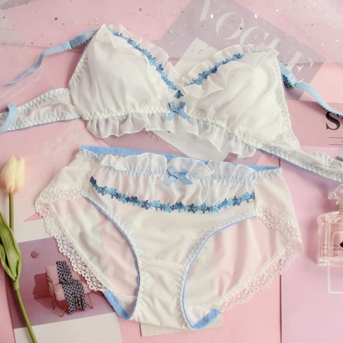 Chiffon Lace White Bra & Brief Panties Set