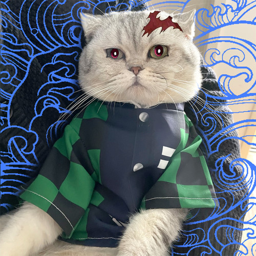 Anime Demon Slayer: Kimetsu no Yaiba Pet Costume Cat Clothes Cloak Cosplay Outfits