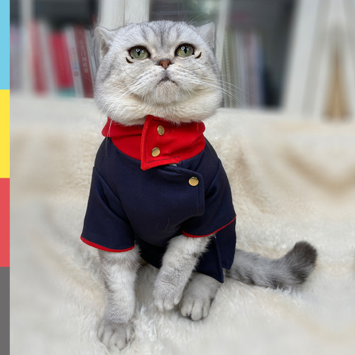 Anime Sorcery Fight Jujutsu Kaisen Itadori Yūji Pet Costume Cat Clothes Cloak Cosplay Outfits