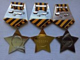Glory Class 1,2,3 soviet medal putin russia badge emblem amy navy ww2 military uniform red star victory