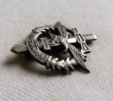 ww2 german air force luftwaffe pin badge