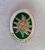 Type #20_ww2 german badge