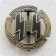 Type #167_WWII badge