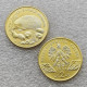 1996 Poland Animals of the World Hedgehog COPY commemorative coins