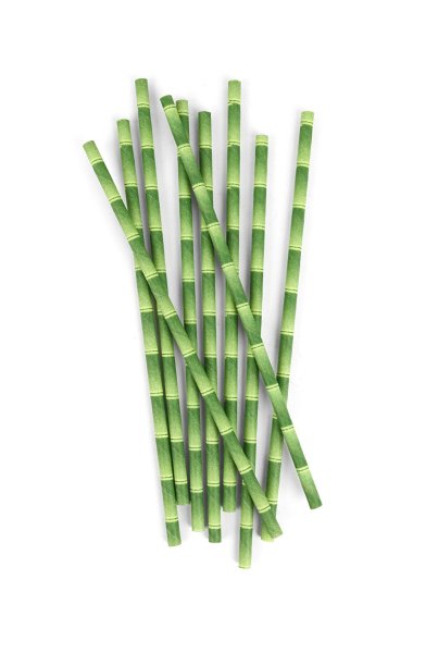Bamboo Paper Straws