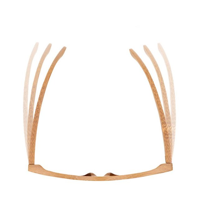 Free Shipping Zebrawood Sunglasses
