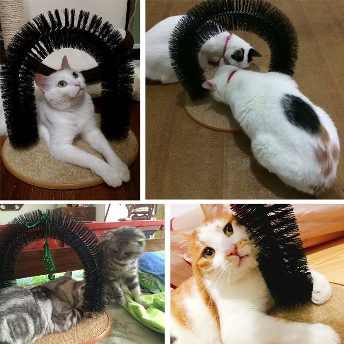 Purrfect Arch Self Groomer