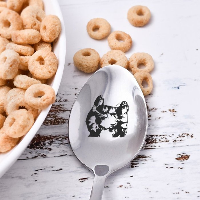 Steve Jobs Spoon