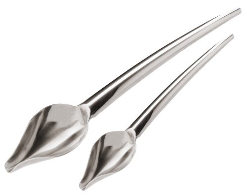 Stainless Steel Drawing Spoons 2PCS