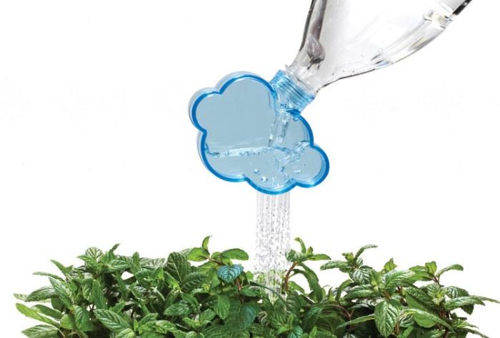 Rainmaker Watering Cap