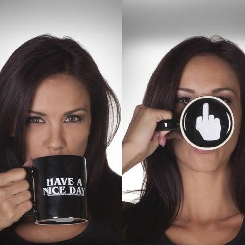 Have A Nice Day Mug Middle Finger Mug Personalized Mug for Coffee Tea