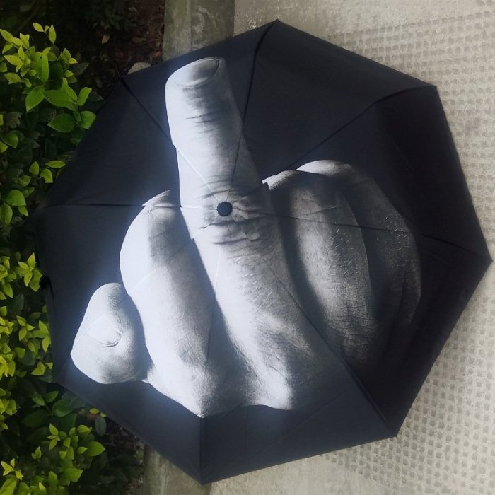 Middle Finger Umbrella F*ck The Rain Umbrella