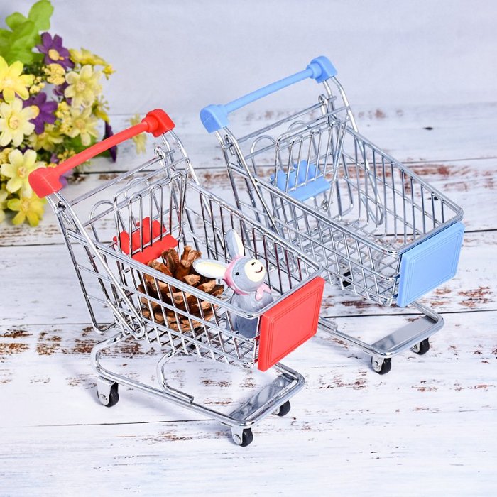 Mini Shopping Cart Organizer