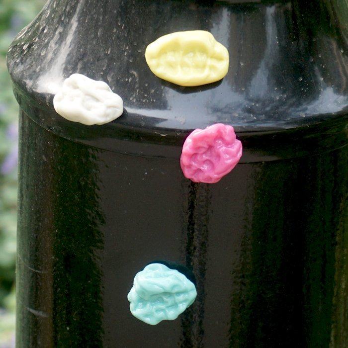 Chewing Gum Magnet