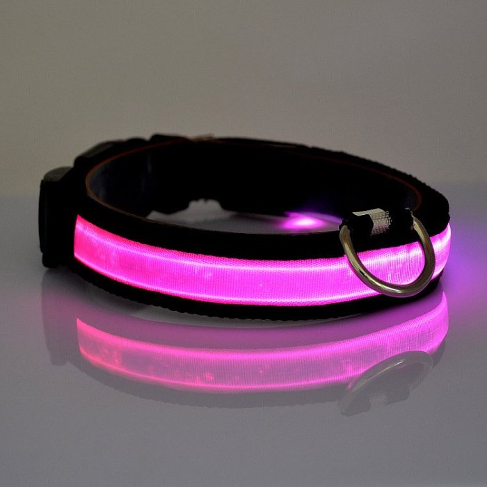 LED Light Up Dog Collar