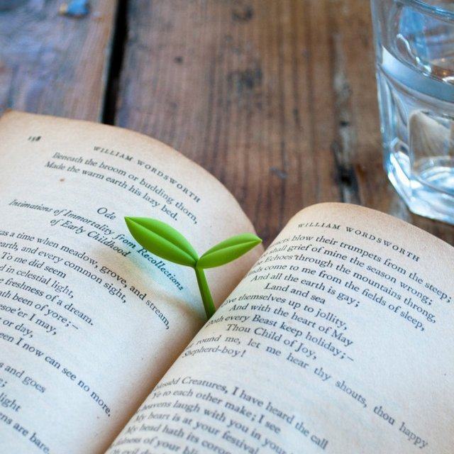 Sprout-Little-Green-Bookmarks-Burgeen-Tender-Shoot-Bookmark-嫩芽書簽-버드북마크- Marcador-de-yemas-小さな緑のしおり シリコンのつ