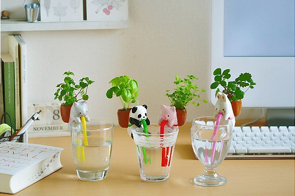 Clearance Animal Self Watering Plant Pot