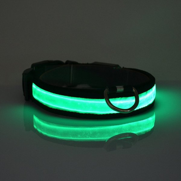 Illuminated Pet Collar Cat Collar Free Shipping