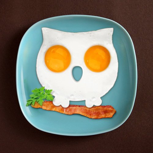 Funny Side Up Owl Egg Corral