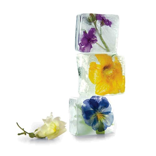 Floral Ice Cubes