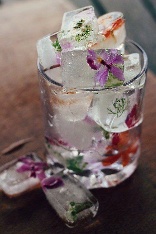 DIY Floral Ice Cubes