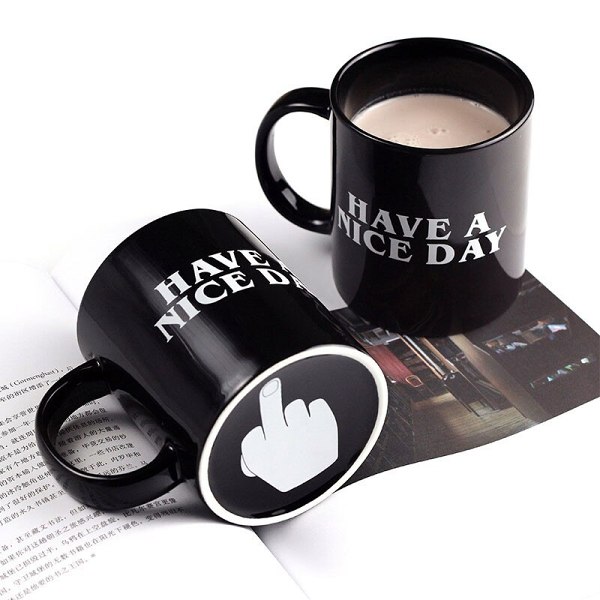 Have A Nice Day Mug Middle Finger Mug Personalized Mug for Coffee Tea