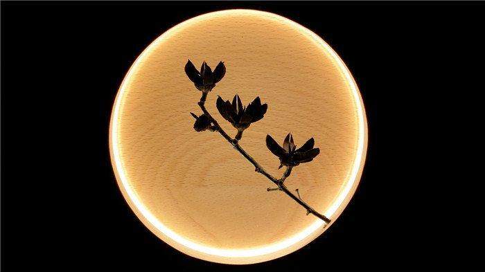 Beech Wood LED Moon Lamp Full Moon Hyun Moon Night Light Bedroom LED Light Wooden Home Decor
