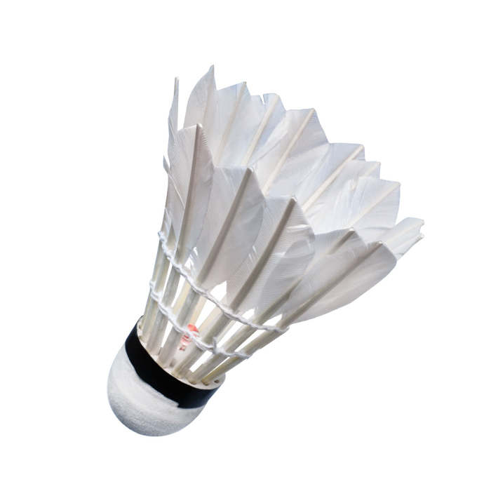 Light Up LED Badminton