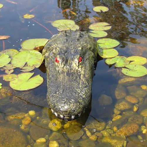 Floating Gator Decoy