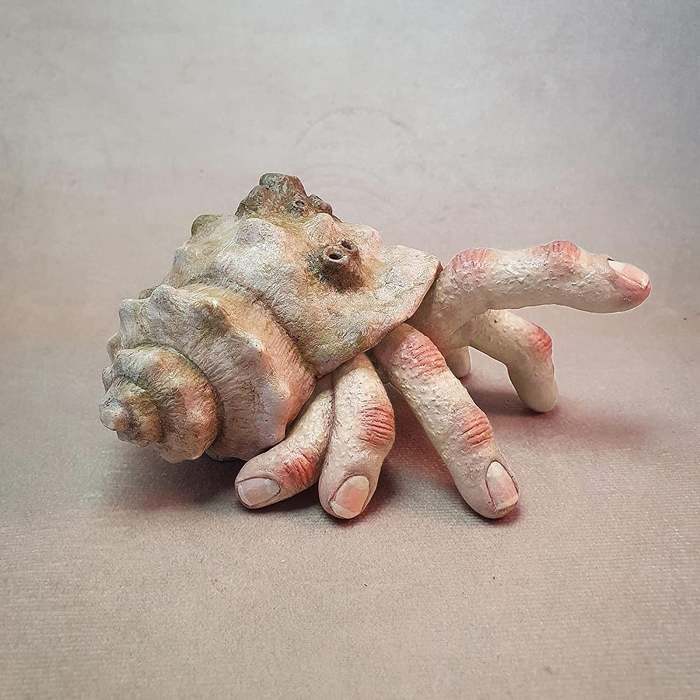 Check out this bizarre finger crab