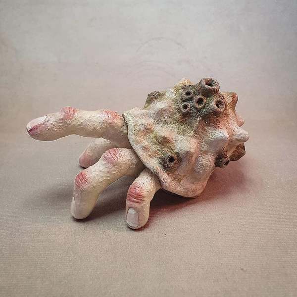 Check out this bizarre finger crab