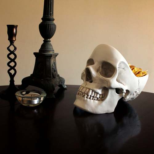 Skull Desk Organizer
