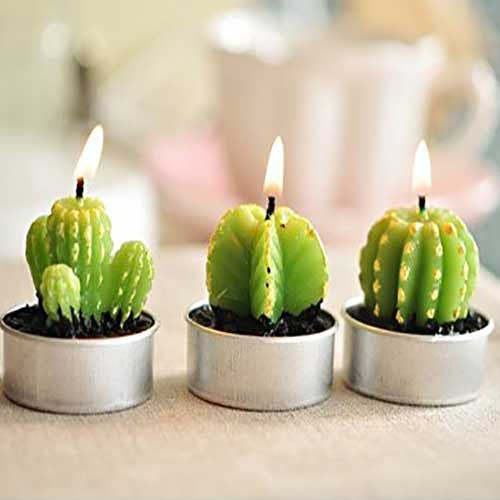 Cactus Candles