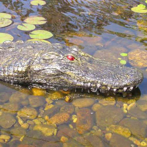 Floating Gator Decoy