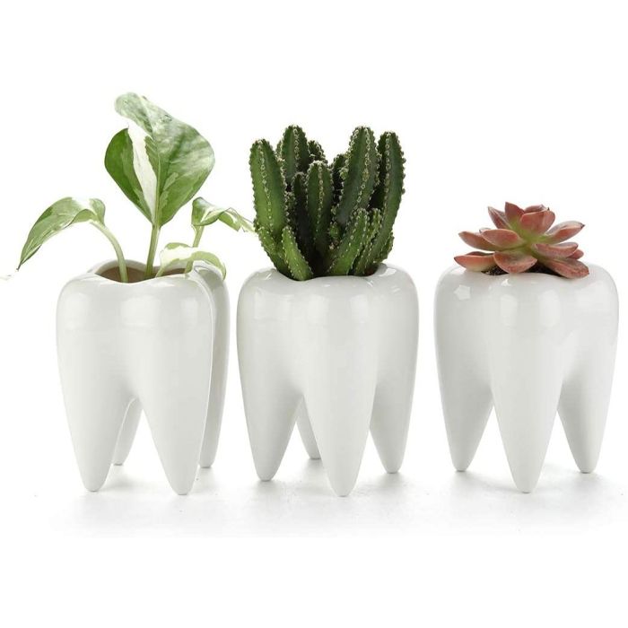 These teeth shaped planters will bring a smile to your dial