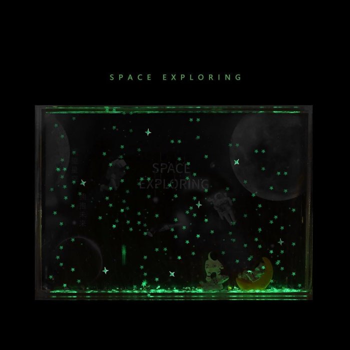 Glow in the Dark Space Explorer Display