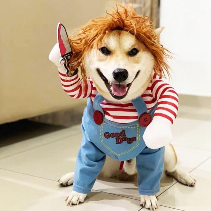Pet Dog Halloween Clothes Costume