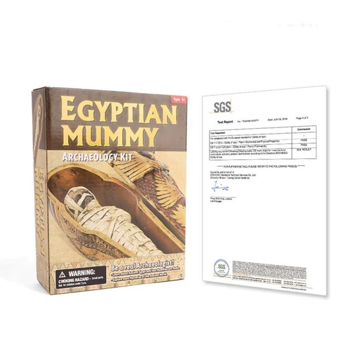 DIY Egyptian Mummy Dig Kit