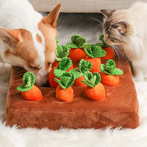 Carrot Plush Sniff Toy