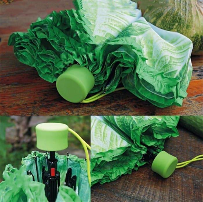 Cabbage Umbrella