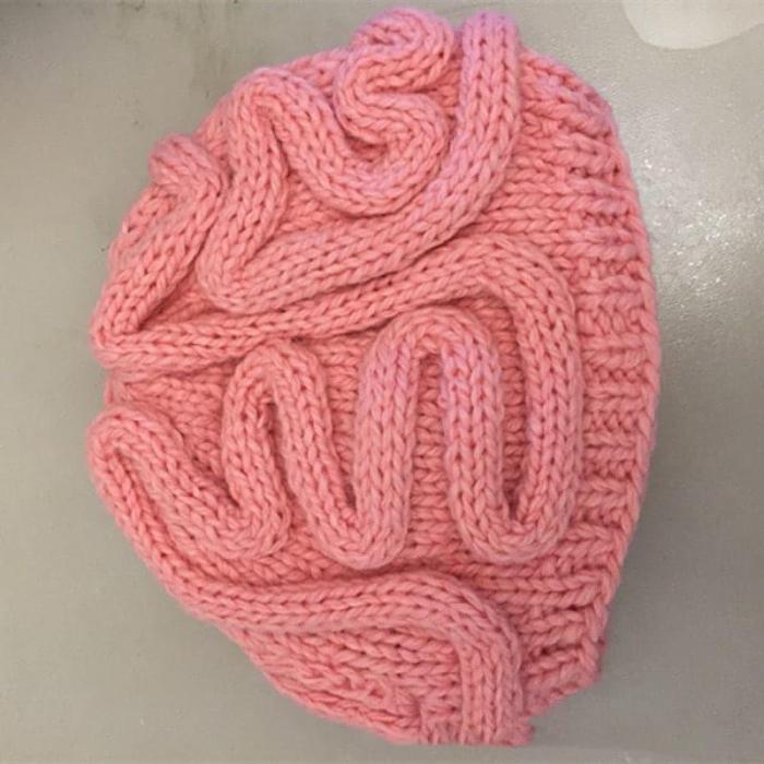 Handmade Funny Brain Knitted Hat