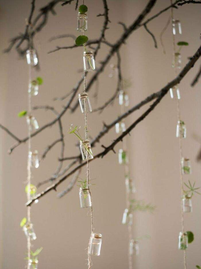 String Hanging Propagation Bottles