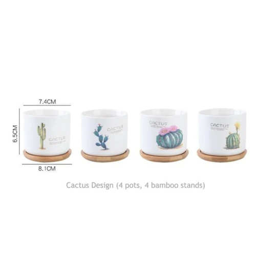 4pcs Cactus Flowerpots