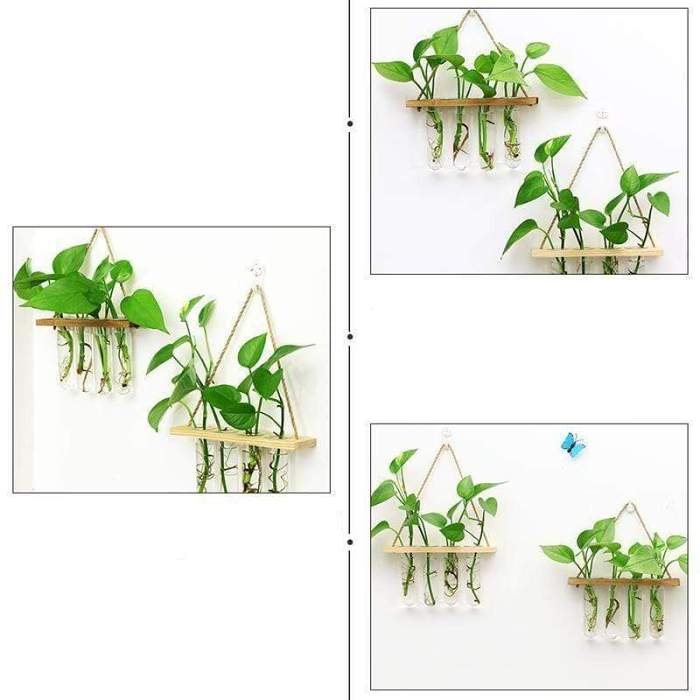 Wall-Mounted Hydroponic Tube Vases