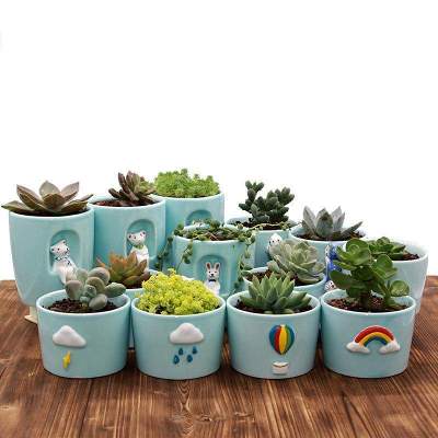 Creative Ceramic Flower Pot