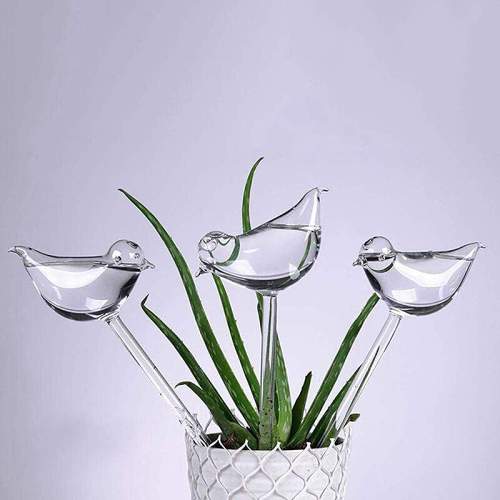 Self Watering Bird Globes