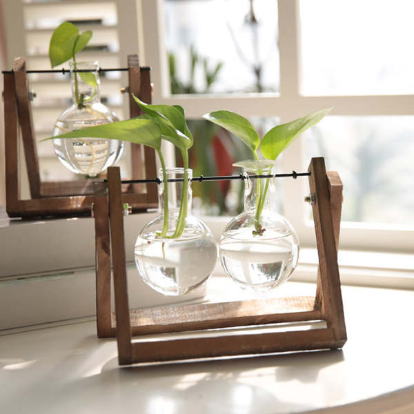 Hydroponic Glass Plant Holder