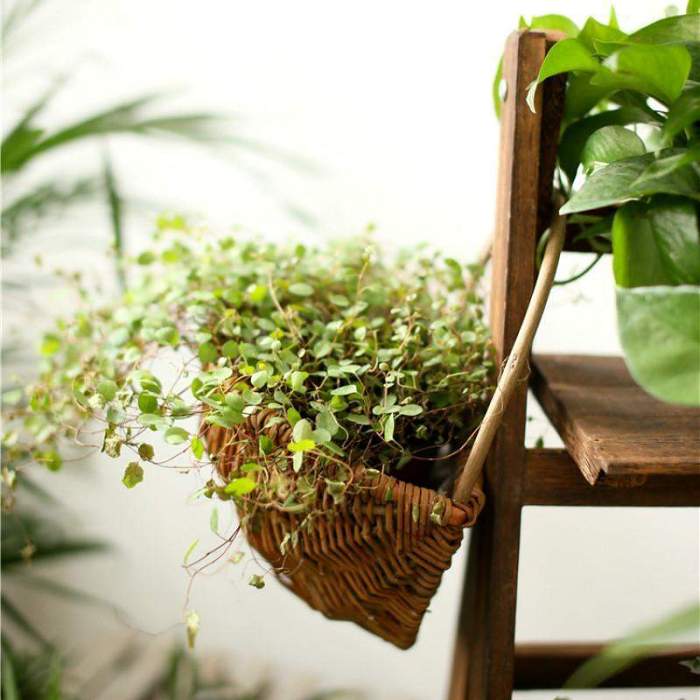 Wicker Wall Hanging Flower Basket