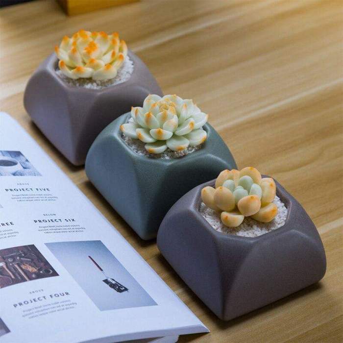 Set of 3 Matte Glaze Ceramic Plant Pots